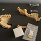 Illustration for article titled New evidence shows that Neanderthals understood the medicinal value of certain foods